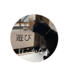 黒猫ピート（個別スタンプ：12）