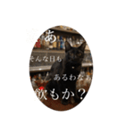黒猫ピート（個別スタンプ：13）