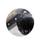 黒猫ピート（個別スタンプ：14）