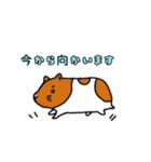ハムハムズスタンプ（個別スタンプ：5）
