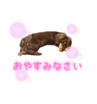 そらまめくんスタンプ Part.2（個別スタンプ：4）