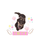そらまめくんスタンプ Part.2（個別スタンプ：9）