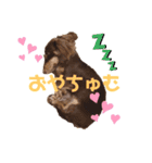 そらまめくんスタンプ Part.2（個別スタンプ：19）