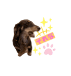 そらまめくんスタンプ Part.2（個別スタンプ：22）