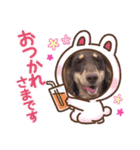 そらまめくんスタンプ Part.2（個別スタンプ：23）