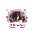 そらまめくんスタンプ Part.2（個別スタンプ：28）