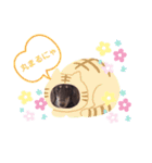 そらまめくんスタンプ Part.2（個別スタンプ：30）