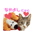 しらすといくら4（個別スタンプ：1）