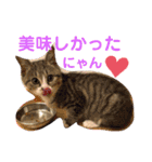 しらすといくら4（個別スタンプ：7）