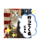 しらすといくら4（個別スタンプ：11）