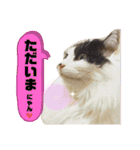 しらすといくら4（個別スタンプ：13）