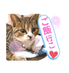 しらすといくら4（個別スタンプ：17）