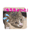 しらすといくら4（個別スタンプ：18）