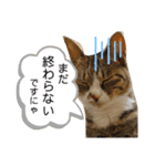 しらすといくら4（個別スタンプ：19）