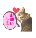 しらすといくら4（個別スタンプ：23）