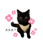 黒猫うにだニャ〜！！（個別スタンプ：12）