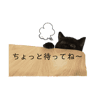 黒猫うにだニャ〜！！（個別スタンプ：14）