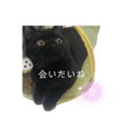 黒猫うにだニャ〜！！（個別スタンプ：15）