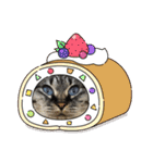 リンちゃんスタンプ3個目（個別スタンプ：2）
