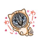 リンちゃんスタンプ3個目（個別スタンプ：18）