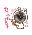 リンちゃんスタンプ3個目（個別スタンプ：23）