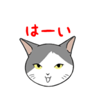 猫タクのイラスト（個別スタンプ：1）