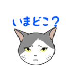 猫タクのイラスト（個別スタンプ：2）