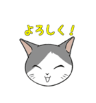 猫タクのイラスト（個別スタンプ：3）