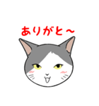 猫タクのイラスト（個別スタンプ：7）