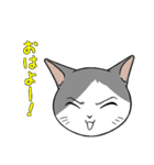 猫タクのイラスト（個別スタンプ：12）