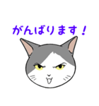 猫タクのイラスト（個別スタンプ：14）