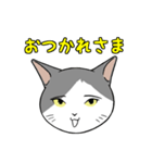 猫タクのイラスト（個別スタンプ：15）