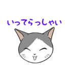 猫タクのイラスト（個別スタンプ：17）