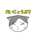 猫タクのイラスト（個別スタンプ：21）