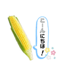 畑で会おう！夏野菜編（個別スタンプ：2）