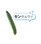 畑で会おう！夏野菜編（個別スタンプ：6）