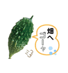 畑で会おう！夏野菜編（個別スタンプ：9）