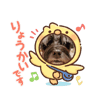 アンコちゃんシリーズ①（個別スタンプ：6）