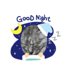 Cat in me（個別スタンプ：4）