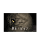 Cat in me（個別スタンプ：5）
