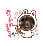 私のアンコちゃん③（個別スタンプ：7）