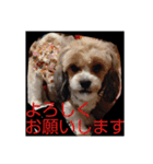 キャバシーズ・ノアのスタンプ7（個別スタンプ：7）
