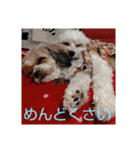 キャバシーズ・ノアのスタンプ7（個別スタンプ：8）