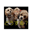 キャバシーズ・ノアのスタンプ7（個別スタンプ：9）
