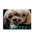 キャバシーズ・ノアのスタンプ7（個別スタンプ：34）