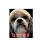 キャバシーズ・ノアのスタンプ7（個別スタンプ：36）
