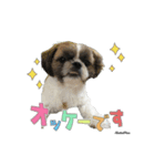 なべぺん（個別スタンプ：1）