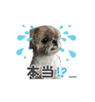 なべぺん（個別スタンプ：6）