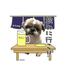 なべぺん（個別スタンプ：7）