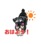 ジョン・万次郎（＆ちゃっぴー）（個別スタンプ：6）